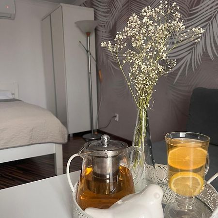 Apartament Na Starowce VII Pszczyna Exteriör bild