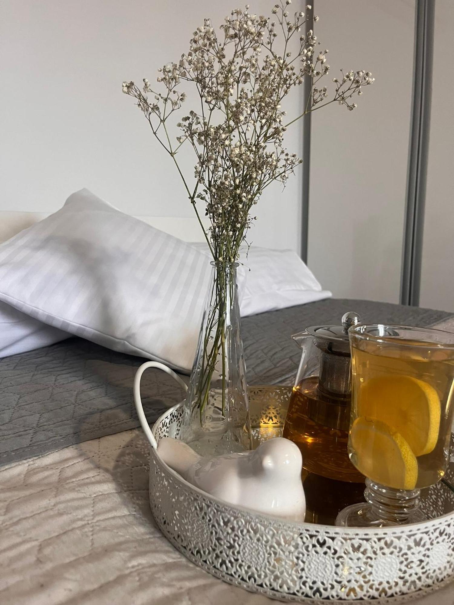 Apartament Na Starowce VII Pszczyna Exteriör bild